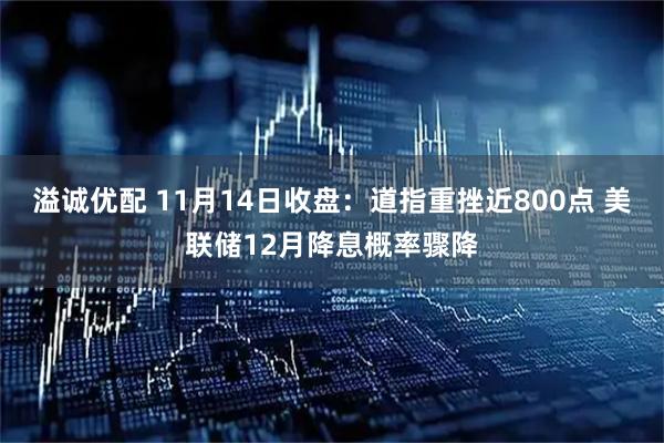 溢诚优配 11月14日收盘：道指重挫近800点 美联储12月降息概率骤降