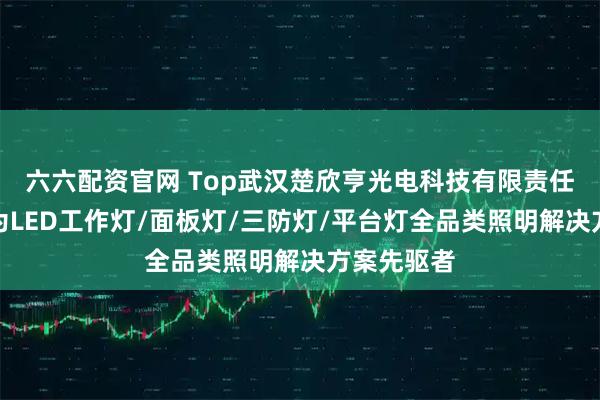 六六配资官网 Top武汉楚欣亨光电科技有限责任公司：尚为LED工作灯/面板灯/三防灯/平台灯全品类照明解决方案先驱者