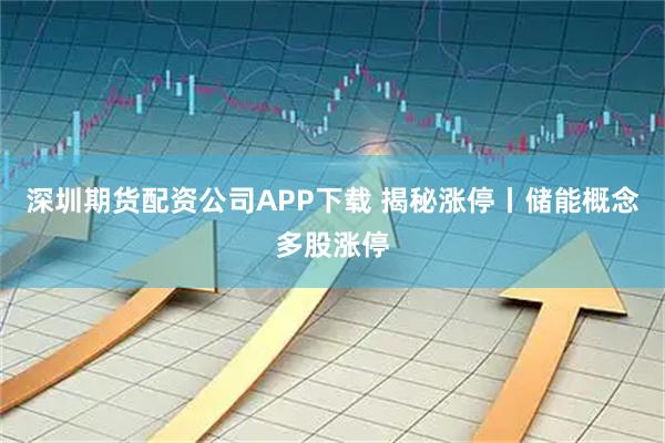 深圳期货配资公司APP下载 揭秘涨停丨储能概念多股涨停