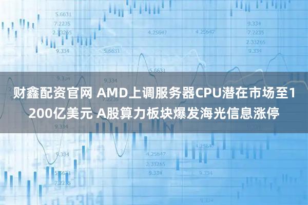 财鑫配资官网 AMD上调服务器CPU潜在市场至1200亿美元 A股算力板块爆发海光信息涨停